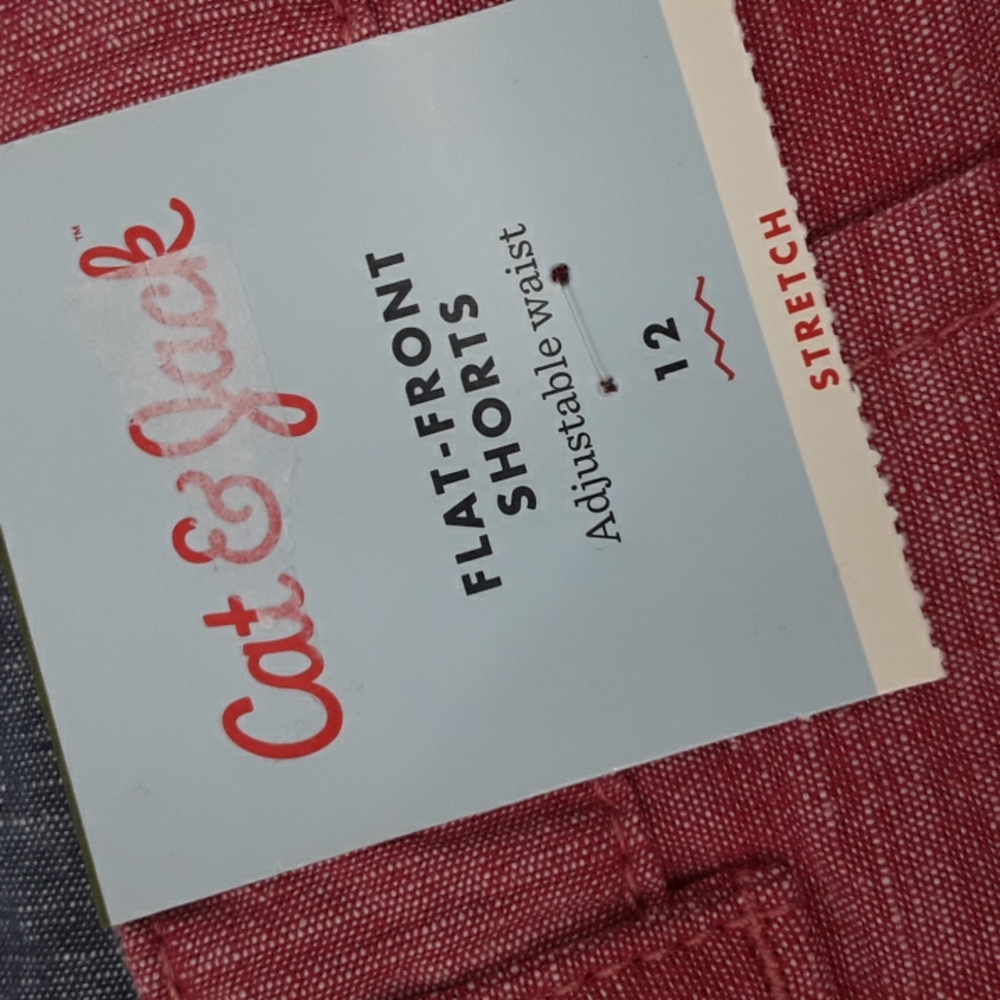 Boys Flat Front Chino Shorts - Cat & Jack™ Warm Red - Boys Casual Chino Shorts - Picture 7 of 8